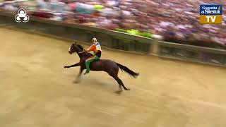 Palio di Siena 2 luglio 2023  Selva [upl. by Sayers494]