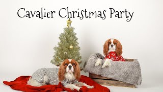 CAVALIER KING CHARLES CHRISTMAS PARTY  Vlogmas Herky The Cavalier [upl. by Dong48]