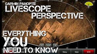 LiveScope Perspective  Everything You Need to Know [upl. by Castera]