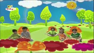 Mi Jardín  BabyTV Español [upl. by Shaffer688]