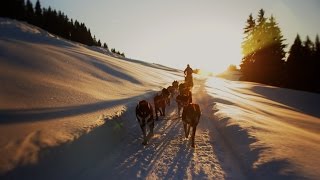 Souvenirs partagés… avec un musher aux Saisies [upl. by Suelo823]