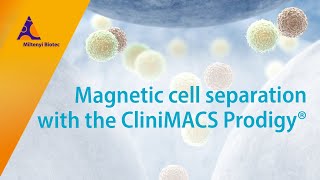 How does the CliniMACS Prodigy® perform magnetic cell separation [upl. by Enitsugua]