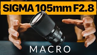 Sigma 105 F28 Macro Review Sony EMount Full Frame amp APSC [upl. by Atimad]