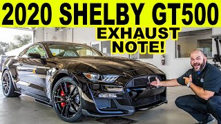 2020 Ford Mustang GT500  SHELBY FIRST LOOK Review amp Exhaust Note [upl. by Latsyrk844]