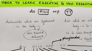 Trick to learn Examples of Essential AminoAcids and Non Essential Amino acids  Biomolecules [upl. by Nodyarg185]