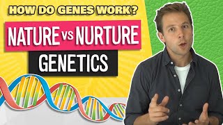 Nature vs Nurture Debate Genetics and the Environment Video 14 [upl. by Amaras]