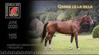 CHAMA LS LA SILLA [upl. by Banyaz]