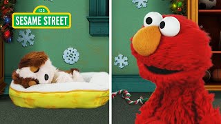 Elmo amp Tangos Christmas Puppy Cam  Fun Sesame Street Holiday Songs [upl. by Euqinahs]