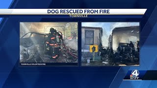 Dog rescued from structure fire involving multiple vehicles fire department says [upl. by Eibba]