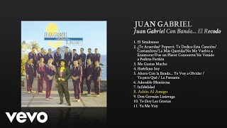 Juan Gabriel  Adiós al Amigo Cover Audio [upl. by Hameean189]