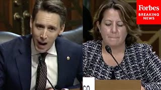 Parents Across This Country Are Going To Be Stunned Hawley Rips Deputy AG Over School Board Memo [upl. by Der]