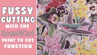 Fussy Cutting Using ScanNCut Print to Cut ScanNCut DX [upl. by Yerocal]