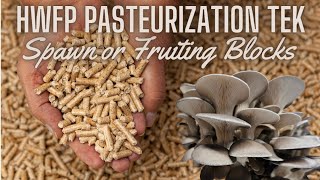 PASTEURIZED FUEL PELLET TEK Simple LowTech Method for Making Sawdust Blocks for Mushroom Growing [upl. by Nivac853]