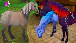 Meet the all new Finnhorse ✨😍  Star Stable Breeds [upl. by Roselani251]