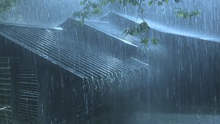 Falling Asleep with Torrential Rain amp Thunder Reverberated on Dull Corrugated Iron Roof at Night [upl. by Gill467]