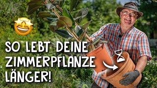 Zimmerpflanzen richtig umtopfen 🌱 Umtopfen in 5 einfachen Schritten [upl. by Cousins]