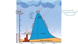 Flood hydrographs [upl. by Concepcion]