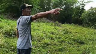 vid3 calauag quezon farmlot calauagquezon [upl. by Liw]