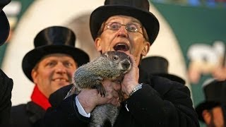 Groundhog Day 2014 Punxsutawney Phil Sees Shadow [upl. by Yznyl260]