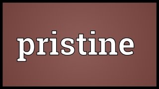 Pristine Meaning [upl. by Kroll]