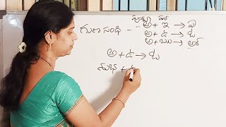 గుణ సంధి  Guna sandhi  Telugu Grammar [upl. by Yhcir]