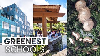 The Most EcoFriendly Schools  Green Schools Around the World [upl. by Yelekreb339]