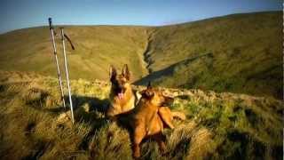 Ochil Hills Glen TyeWallace Stone  Aeroplane Crash Memorial [upl. by Carlson]