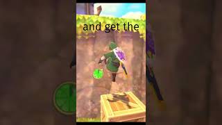 Skyward Sword HD — Hunting for Pots [upl. by Nnaitsirhc]