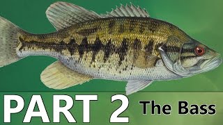 Beginners Guide to BASS FISHING  Part 2  The Bass [upl. by Anialahs326]