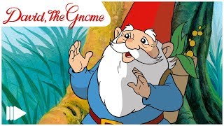 David the Gnome  06  The wedding  Full Episode [upl. by Oneil322]