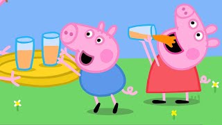 Peppa Pig in Hindi  Hichakee  हिंदी Kahaniya  Hindi Cartoons for Kids [upl. by Zetnauq]