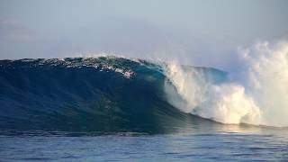 SURFING PERFECT WAVES in the Maldives  Niyama Private Islands  Luxury Surf Resort [upl. by Shelah]