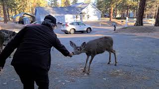 Susanville California [upl. by Atsedom304]