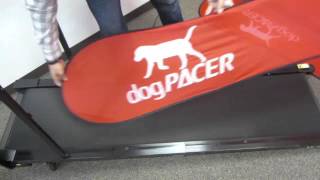 How To Lubricate Your dogPACER Treadmill [upl. by Adine664]