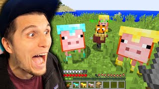 Was passiert wenn Minecraft Schweine plötzlich eine DiamantRüstung tragen [upl. by Ravo]