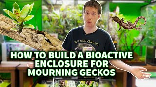 Building a Mourning Gecko enclosure with The Dude [upl. by Eyllom]