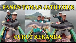 MANCING IKAN TOMAN SAMPE SEBANYAK INI CASTING TOMAN JATILUHUR  GIANT SNAKEHEAD [upl. by Avehs]