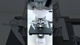 白ワインを400倍に拡大すると本当にかっこいい！ microscope science sciencemicroscope [upl. by Amelus977]