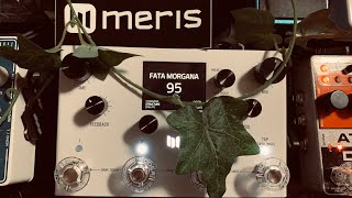 Meris LVX Granular Delay amp Stereo Pitch Shifter [upl. by Anuahsed]