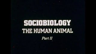 Sociobiology The Human Animal  Part II  1977 [upl. by Aihcats]