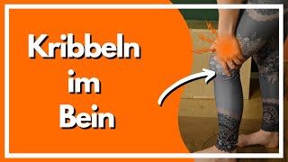 Kribbeln in den Beinen  Dehnübungen und Faszienrollmassage  Intensivprogramm auf der Matte [upl. by Mattox]