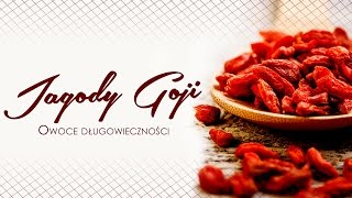 💥Jagody goji – Dlaczego warto sięgnąć po jagody goji 🌍cosdlazdrowiapl💻 [upl. by Anglim]