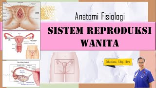 ANATOMI FISIOLOGI SISTEM REPRODUKSI WANITA [upl. by Apollus]