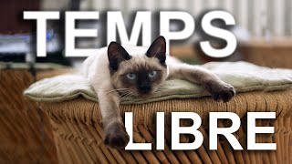 TEMPS LIBRE  PAROLE DE CHAT [upl. by Akimaj]