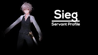 Fate Lore  Sieg Skills and Abilities [upl. by Gerard92]