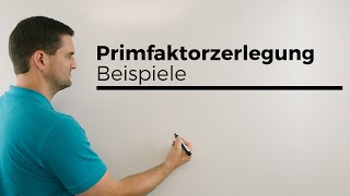 Primfaktorzerlegung Beispiele  Mathe by Daniel Jung [upl. by Buff]