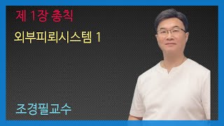 KEC설비기준 21강 외부피뢰시스템 1 [upl. by Noivert]