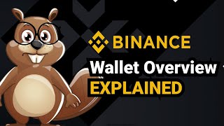 Binance Wallet Overview Explained [upl. by Siroled]