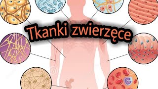 Tkanki zwierzęce kl 6 [upl. by Pasadis843]