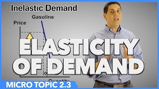 Elasticity of Demand Micro Topic 23 [upl. by Joya]